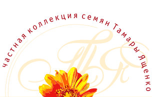 Частная коллекция семян Тамары Ященко